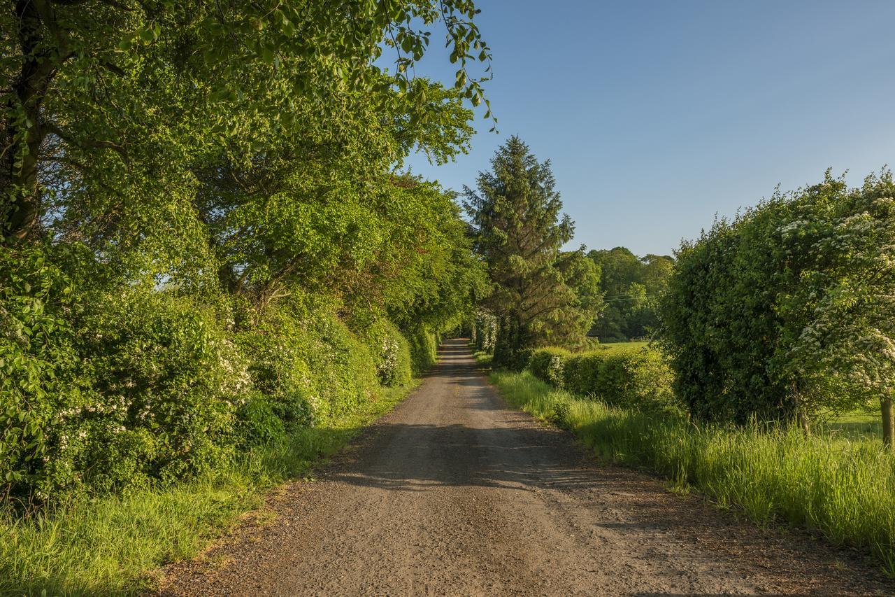 Mill Lodge B&B Banbridge Buitenkant foto